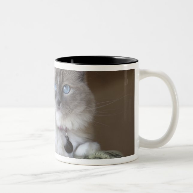 Caneca De Café Em Dois Tons Gata Ragdoll fêmea (Direita)