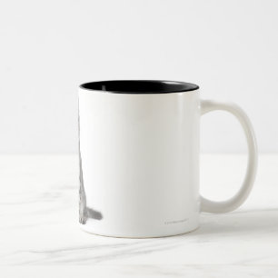 Caneca De Café Em Dois Tons Gatinho americano da onda (3 meses velho)