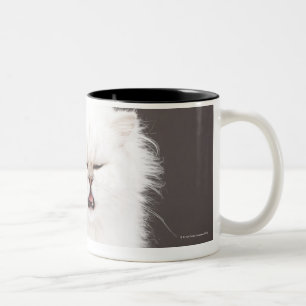 Caneca De Café Em Dois Tons Gatinho com os olhos fechados
