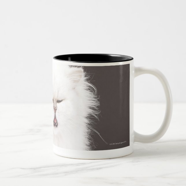 Caneca De Café Em Dois Tons Gatinho com os olhos fechados (Direita)