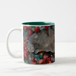 Caneca De Café Em Dois Tons Gatinho de gato-do-mato-curto britânico em Poinset