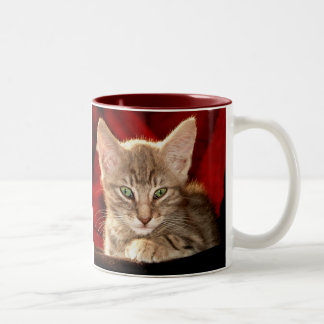 Caneca De Café Em Dois Tons Gatinho de Hemingway