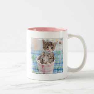 Caneca De Café Em Dois Tons Gatinho de Munchkin com fita bonito
