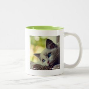 Caneca De Café Em Dois Tons Gatinho de Ragdoll
