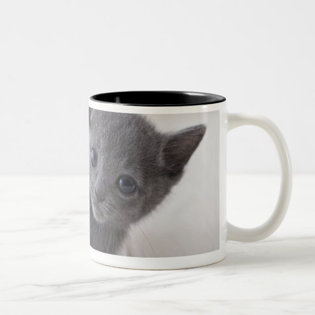 Caneca De Café Em Dois Tons Gatinho do azul do russo (Direita)