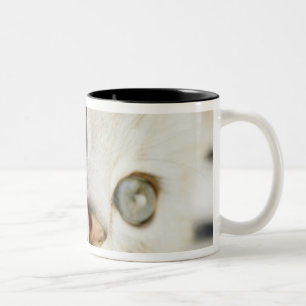 Caneca De Café Em Dois Tons Gatinho, fim-acima 2