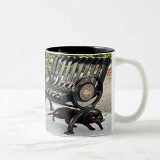 Caneca De Café Em Dois Tons Gatinho no Parque