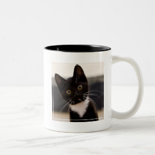 Caneca De Café Em Dois Tons Gatinho preto e branco bonito do smoking