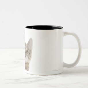 Caneca De Café Em Dois Tons Gatinho que está nas patas traseiras