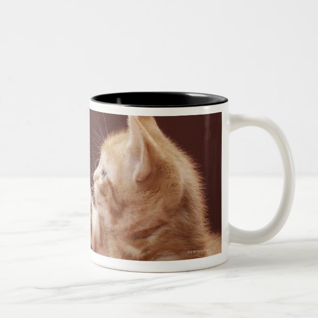 Caneca De Café Em Dois Tons Gatinho que joga com ornamento (Direita)