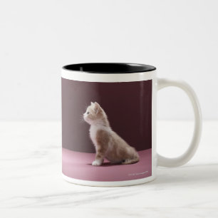 Caneca De Café Em Dois Tons Gatinho que olha o vaso dos rosas