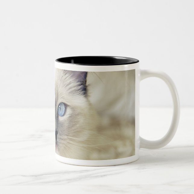 Caneca De Café Em Dois Tons gatinho Ragdoll (Direita)