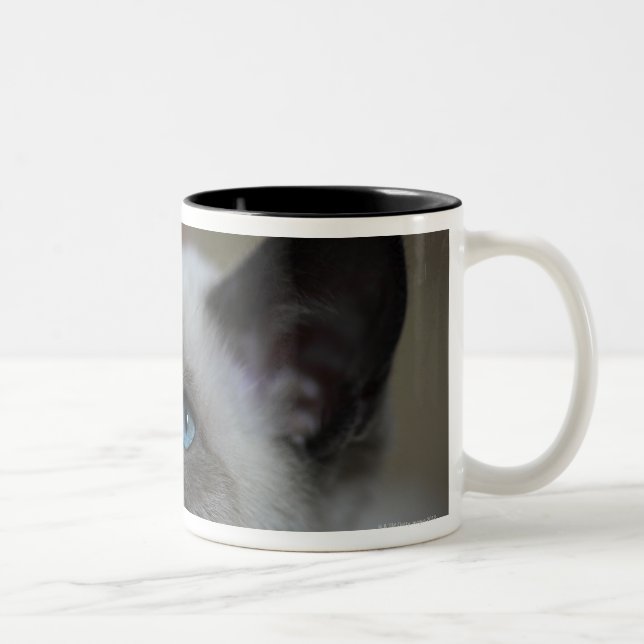 Caneca De Café Em Dois Tons Gatinho Siamese (Direita)