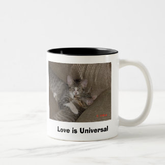 Caneca De Café Em Dois Tons Gatinhos