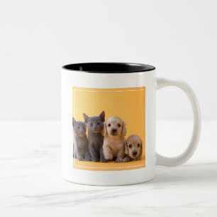 Caneca De Café Em Dois Tons Gatinhos do russo e filhotes de cachorro azuis do