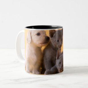 Caneca De Café Em Dois Tons Gatinhos do russo & filhotes de cachorro azuis do