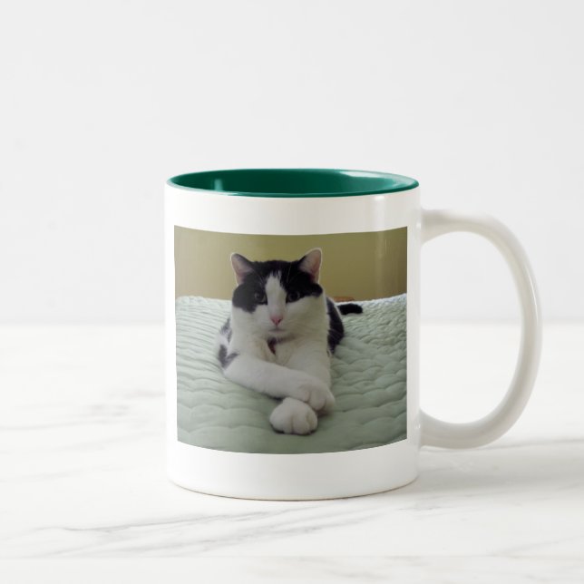 Caneca De Café Em Dois Tons Gato - a vida é boa (Direita)