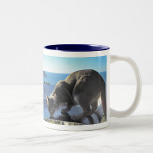Caneca De Café Em Dois Tons Gato Abyssinian pelo mar