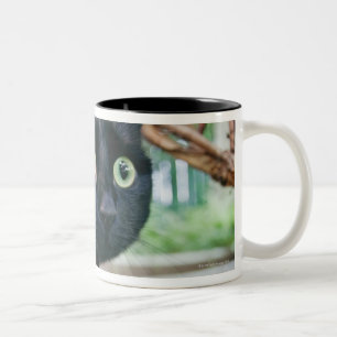 Caneca De Café Em Dois Tons gato alertado que esconde sob o arbusto
