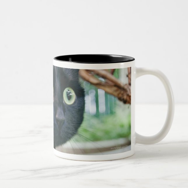 Caneca De Café Em Dois Tons gato alertado que esconde sob o arbusto (Direita)