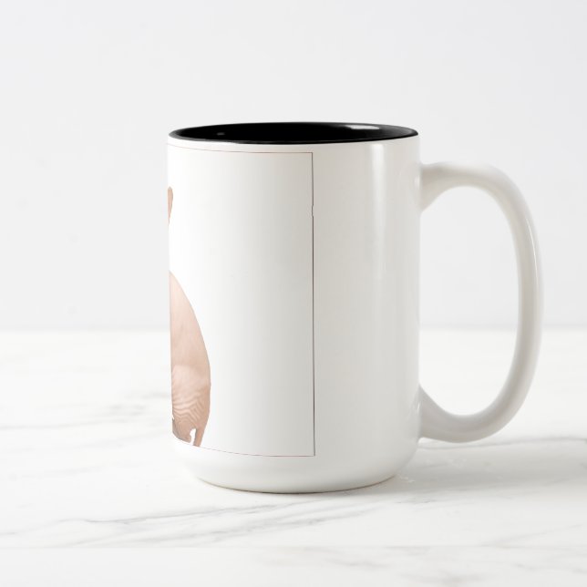 Caneca De Café Em Dois Tons Gato bonito do sphynx (Direita)