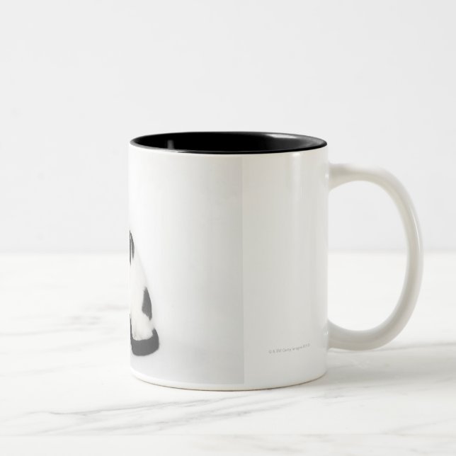 Caneca De Café Em Dois Tons Gato branco com pontos pretos (Direita)