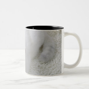 Caneca De Café Em Dois Tons Gato branco que olha acima