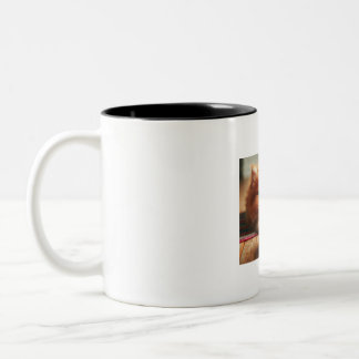 Caneca De Café Em Dois Tons Gato Cinto