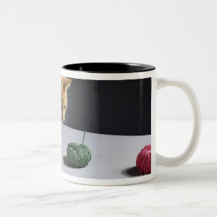 Caneca De Café Em Dois Tons Gato de gato malhado do gengibre que senta-se na