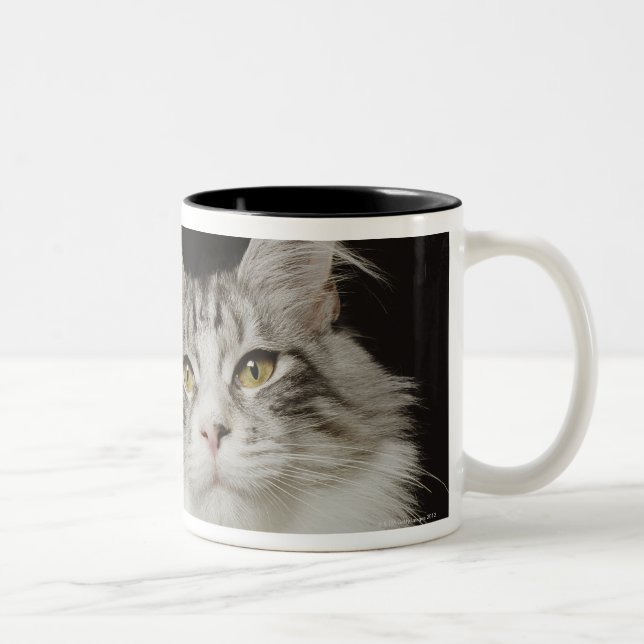 Caneca De Café Em Dois Tons Gato de racum adulto de Maine (Direita)