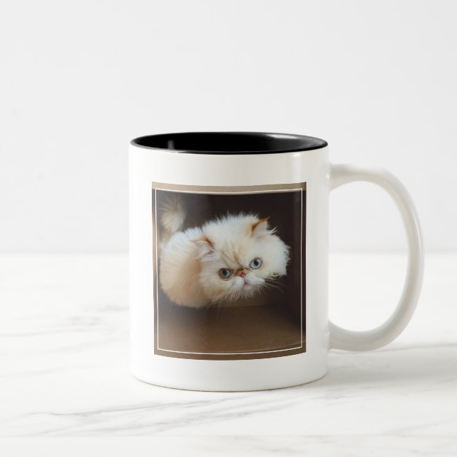 Caneca De Café Em Dois Tons Gato em uma caixa (Direita)
