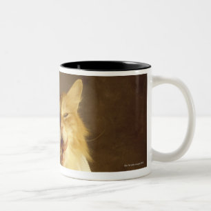 Caneca De Café Em Dois Tons Gato envolvido na gaze médica