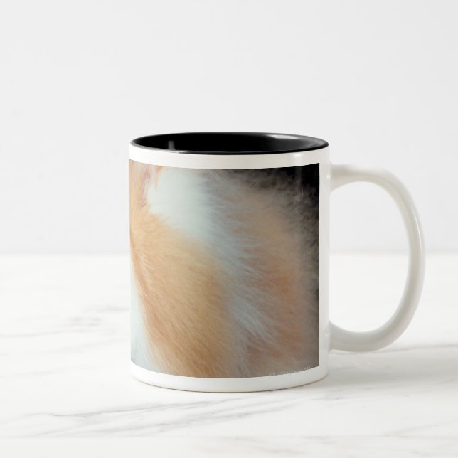 Caneca De Café Em Dois Tons Gato Eyed e bonito da laranja (Direita)