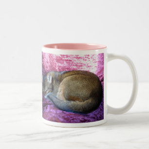 Caneca De Café Em Dois Tons Gato fêmea corado Abyssinian que toma o fácil