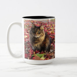 Caneca De Café Em Dois Tons Gato Gatinho de Maine Coon