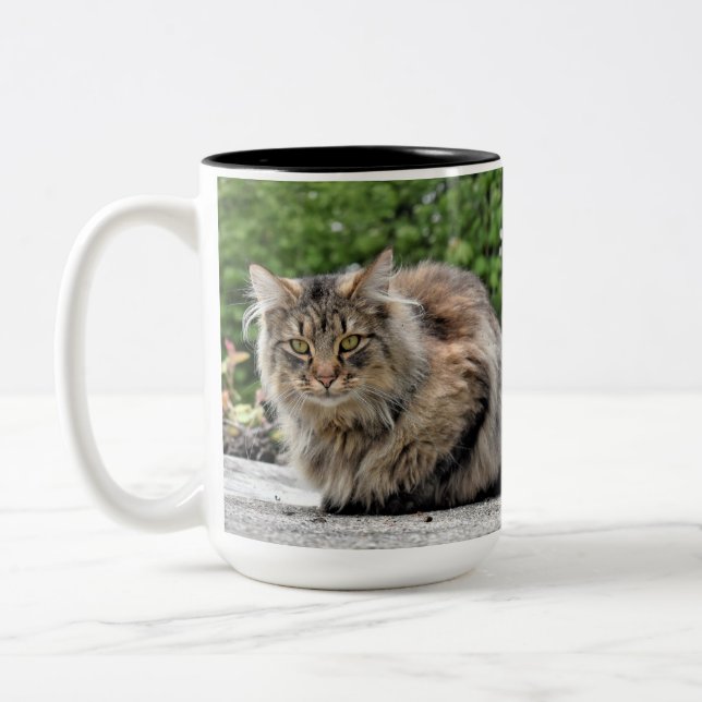 Caneca De Café Em Dois Tons Gato Gatinho de Maine Coon (Esquerda)