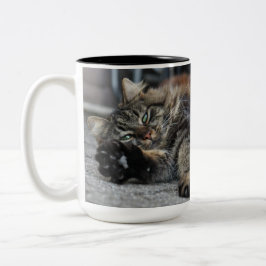 Caneca De Café Em Dois Tons Gato Gatinho de Maine Coon