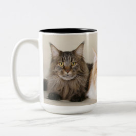 Caneca De Café Em Dois Tons Gato Gatinho de Maine Coon