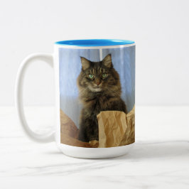 Caneca De Café Em Dois Tons Gato Gatinho de Maine Coon