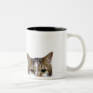Caneca De Café Em Dois Tons Gato japonês e gato Manx no fundo branco