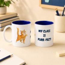 Gato Laranja Engraçado Minha Turma É Perfeita Azul