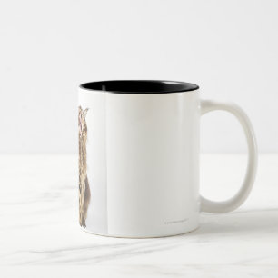 Caneca De Café Em Dois Tons Gato malhado principal clássico do racum de Brown