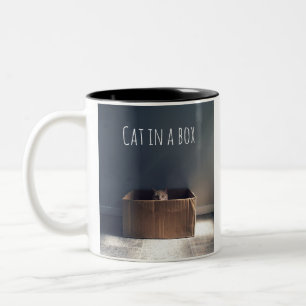 Caneca De Café Em Dois Tons Gato numa caixa. O mestre do gato Zen.