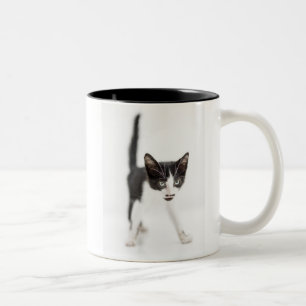 Caneca De Café Em Dois Tons Gato pequeno