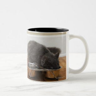 Caneca De Café Em Dois Tons Gato que come da bacia