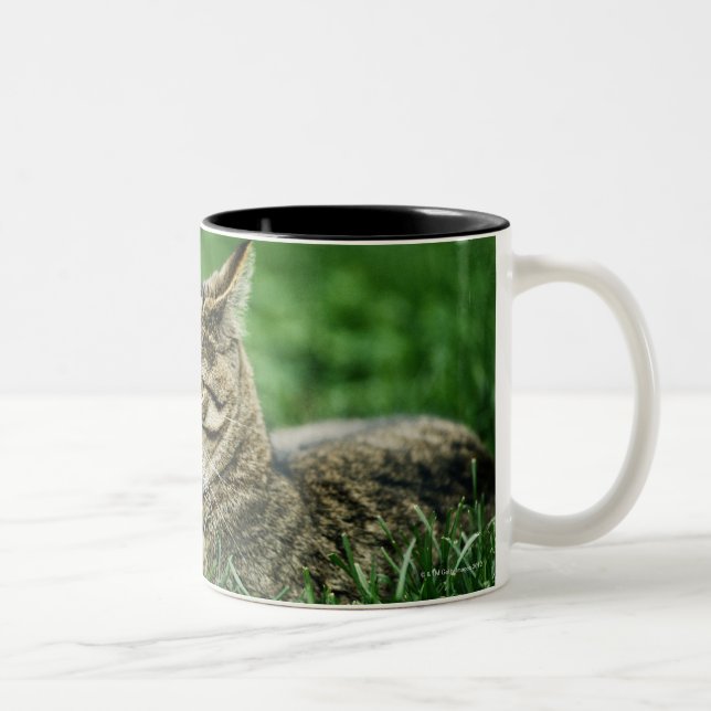 Caneca De Café Em Dois Tons Gato que encontra-se na grama (Direita)