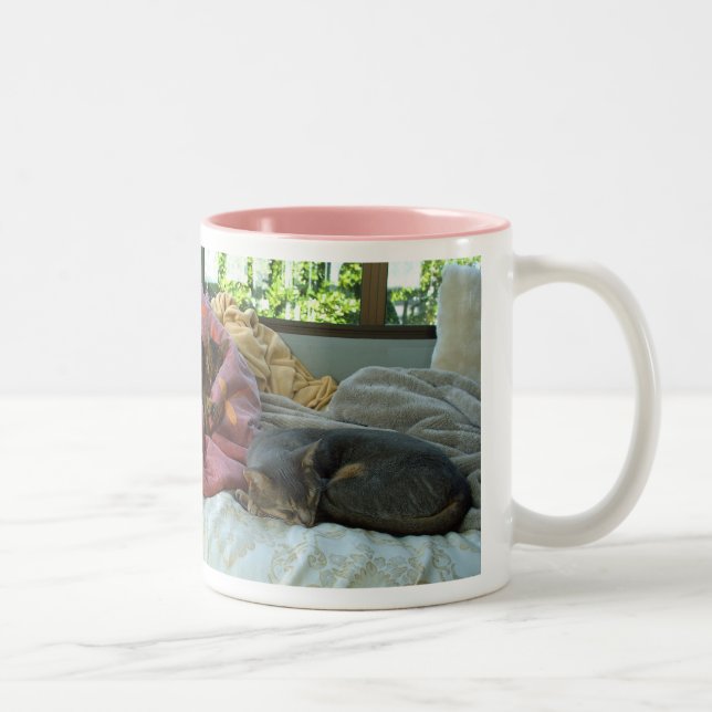 Caneca De Café Em Dois Tons Gatos Abissinérgicos (Direita)
