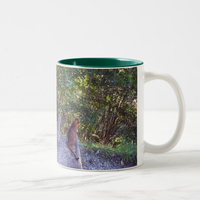 Caneca De Café Em Dois Tons Gatos Abissinérgicos (Direita)
