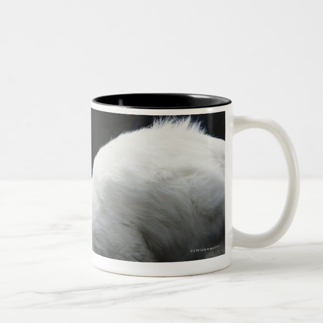 Caneca De Café Em Dois Tons Gatos com a bacia de comida (Direita)