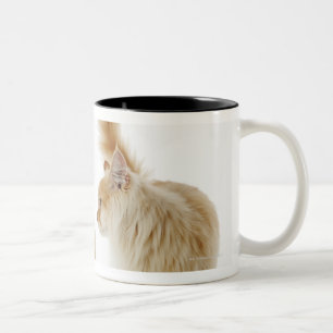 Caneca De Café Em Dois Tons Gatos de Munchkin
